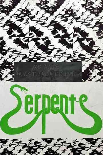 20 Anos na Estrada do Rock Poster