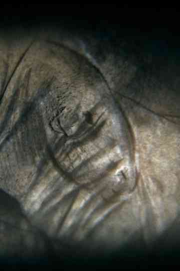 Camera obscura Poster