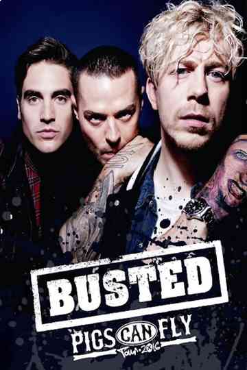 Busted: Pigs Can Fly Tour 2016 Poster