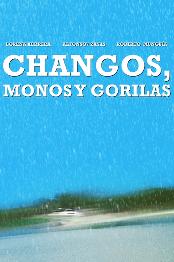 Changos monos y gorilas