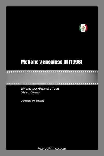 Metiche y encajoso III Poster