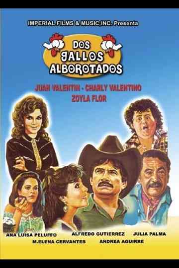 Dos gallos alborotados Poster