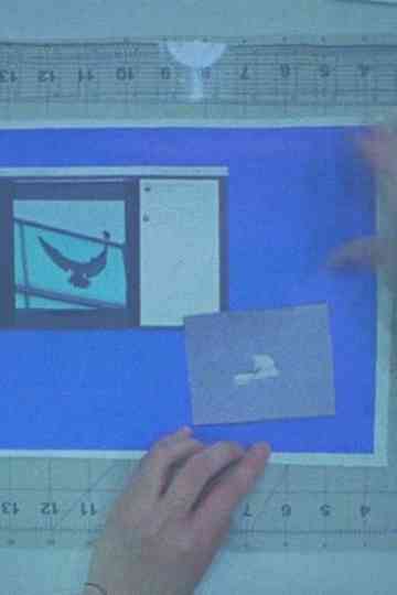 Birdsaver Report Volume 1 Poster