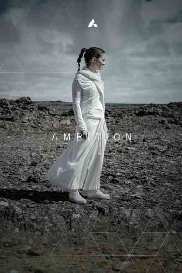Ambition Collection Poster