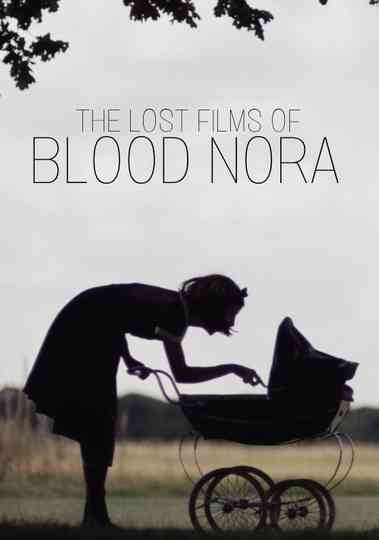 The Lost Films of Bloody Nora Poster