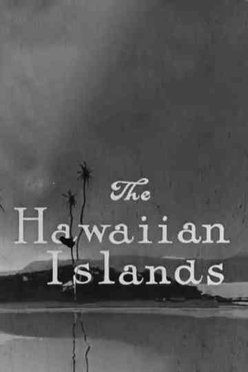 The Hawaiian Islands Poster