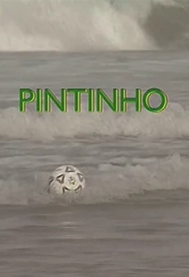 Pintinho