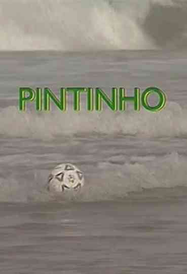 Pintinho Poster