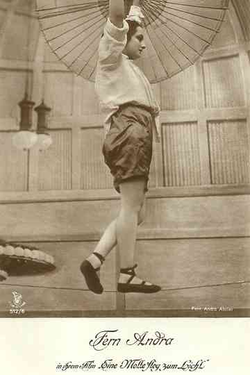 Eine Motte flog zum Licht Poster