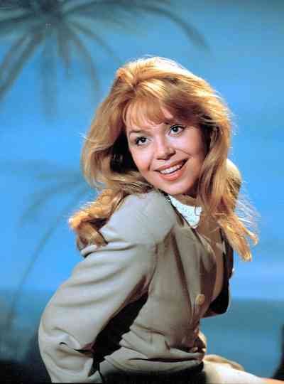 Sins for Detective Show Viewers Poster