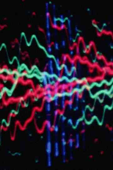 Who Ho Rays No 1 Poster