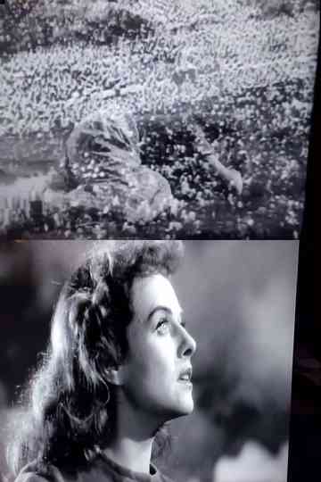 The War of Images Poster