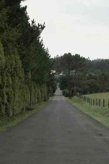 Camiños de Bardaos Poster