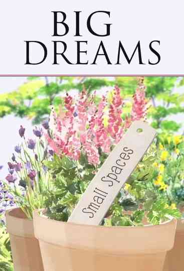 Big Dreams Small Spaces Poster