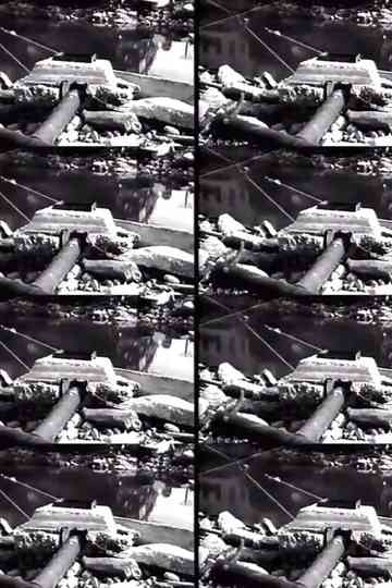 20th Century Wallpaper Poster