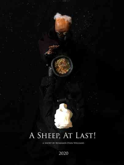 A Sheep At Last Poster