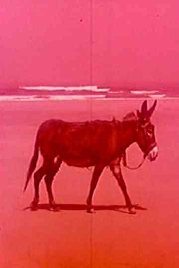 Playa insólita Poster