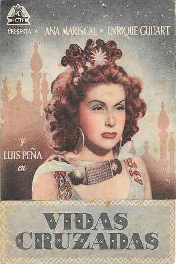 Vidas cruzadas Poster