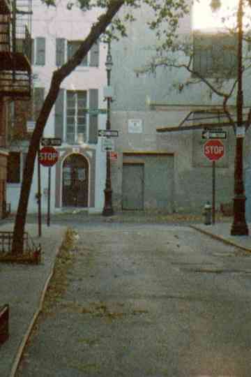 Absolute Street Poster