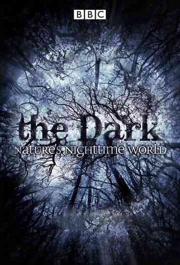 The Dark: Nature's Nighttime World Poster