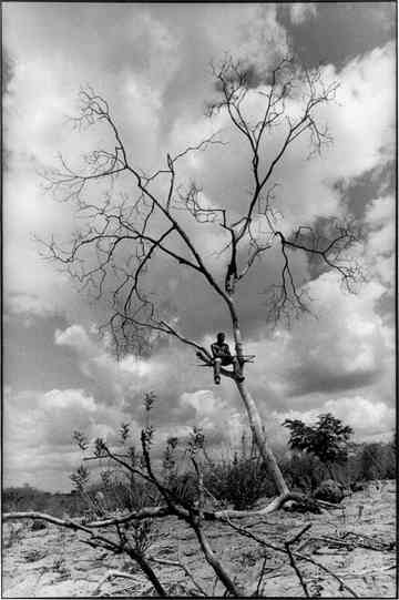 Dreaming of São Paulo Poster