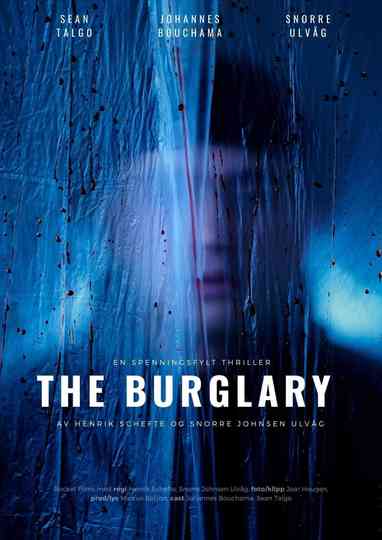 The Burglary Poster