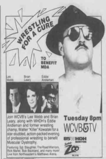 AWA Wrestling For a Cure Poster