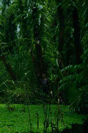 The Eternal Springtime Poster