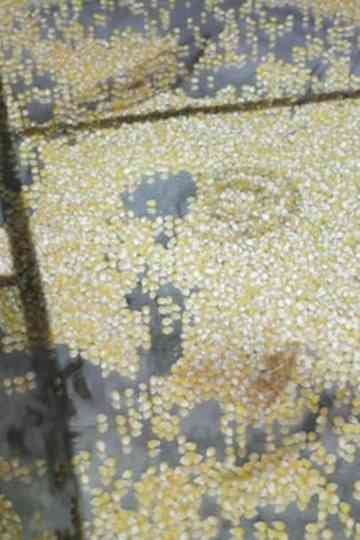 Who Is Afraid of Ideology? Part 3 Micro Resistances Poster