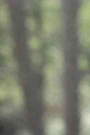 Learning to Eat Soup Poster