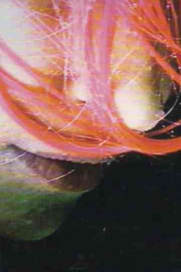 Rainwoman (I Am Called a Plant) Poster