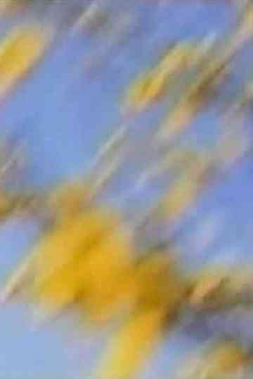 I Want to See How You See Poster