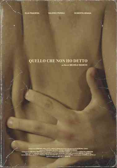 What I Didn't Say Poster