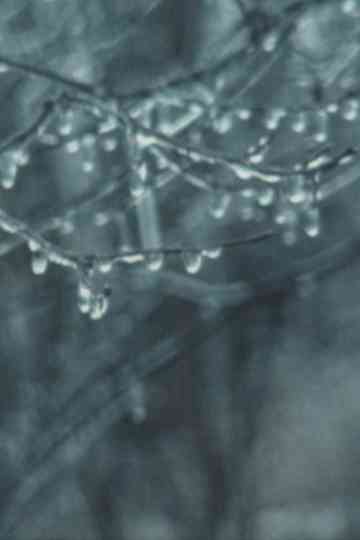 Super 8 Diary - 1989 Poster