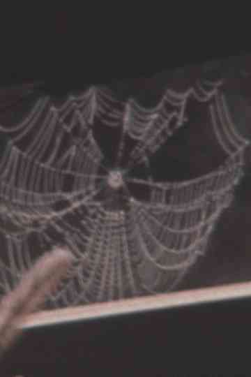 Super 8 Diary - 2003 Poster