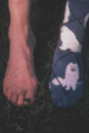 Super 8 Diary - 2006 Poster