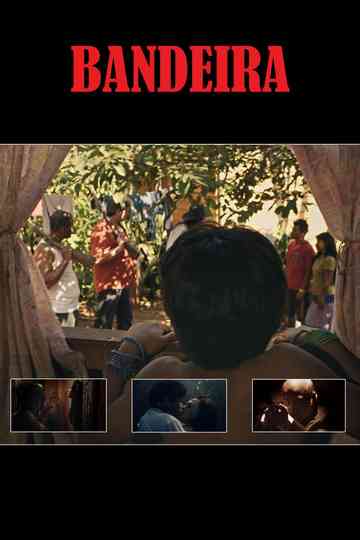 FourColored Banner Poster