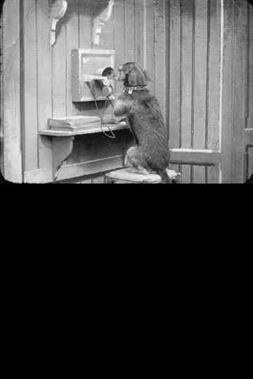 Spot at the 'Phone Poster