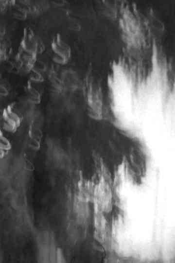 Árbol de la Noche Victoriosa Poster