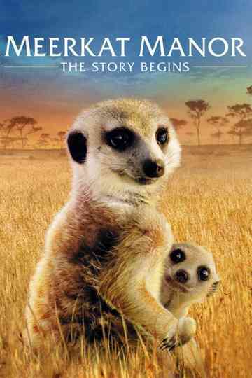 Meerkat Manor The Story Begins poster