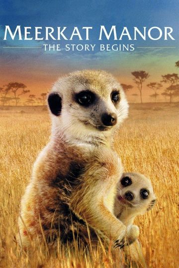 Meerkat Manor The Story Begins