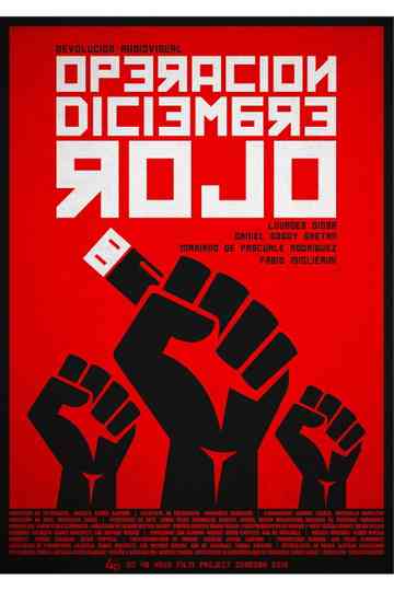 Operation Red December Poster