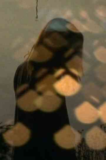 Disporting with a Shadow Poster