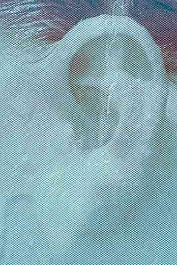 the capacity of absorption Poster