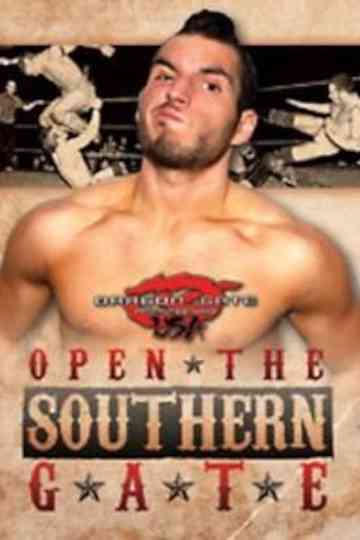 Dragon Gate USA Open The Southern Gate Poster