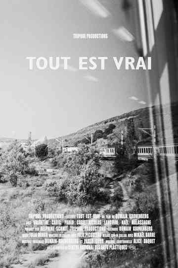 Tout est vrai All Is True Poster