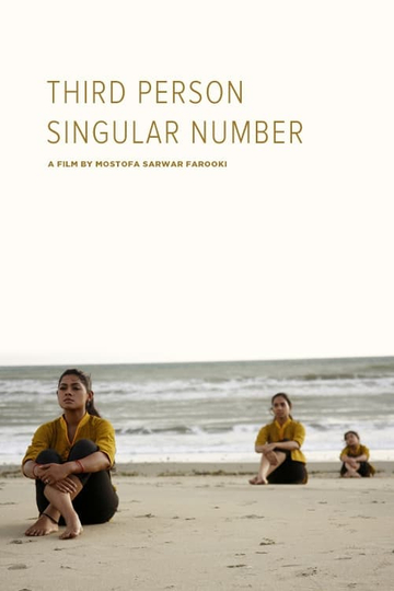 Third Person Singular Number Poster