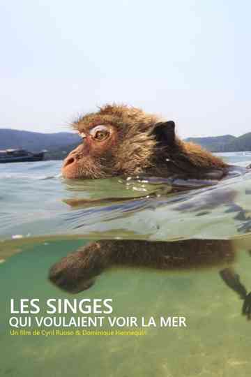 Les singes qui voulaient voir la mer Poster