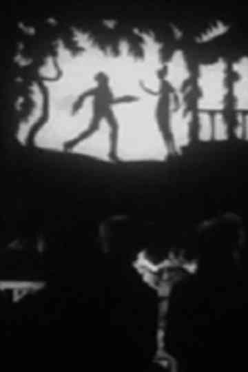 The Lost Shadow Poster