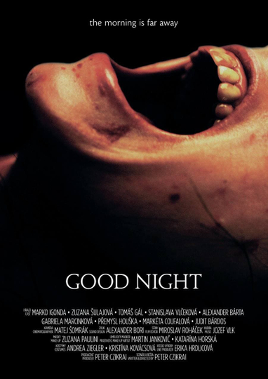 Good Night Poster